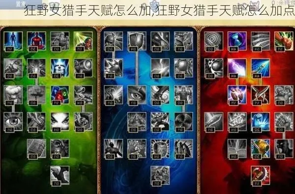 2025年狂野女猎手天赋s10　狂野女猎手天赋s11