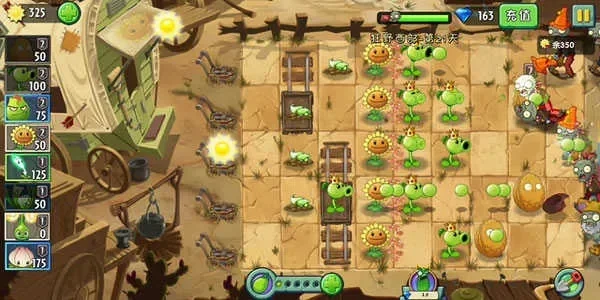 植物大战僵尸2迷雾关卡攻略：照明植物与攻击布局通关技巧