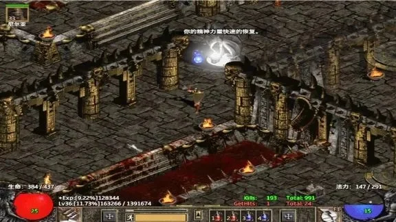 暗黑破坏神2吸血怪物与角色盘点：BOSS、死灵法师与圣骑士吸血机制详解