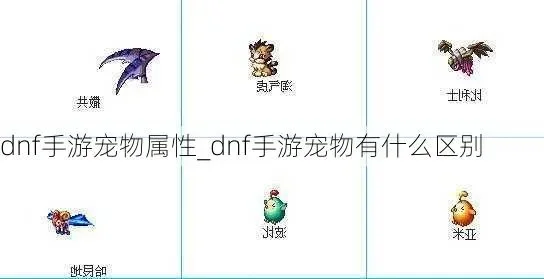 dnf手游宠物净化-DNF宠物净化指南